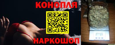 гашик Новоалександровск
