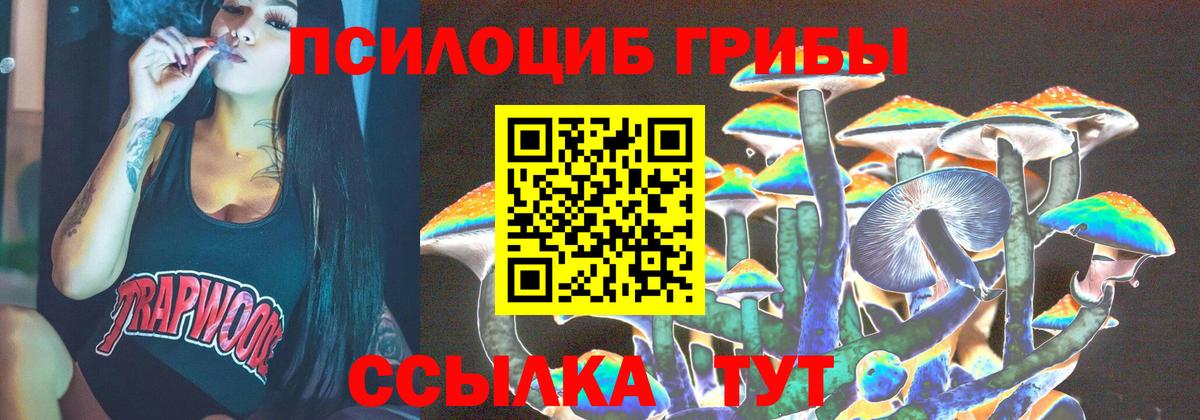 Псилоцибиновые грибы мухоморы Владивосток